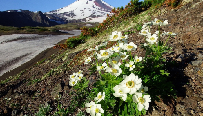 玩家必看教程“搜圈麻将怎么开挂”(曝光透视必备猫腻)