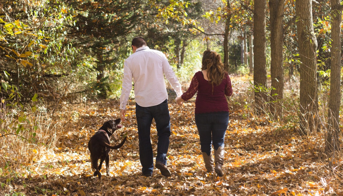 一个家庭的成员在UP医生杀死妻子和孩子后自杀_2 一个家庭的成员在UP医生杀死妻子和孩子后自杀_2