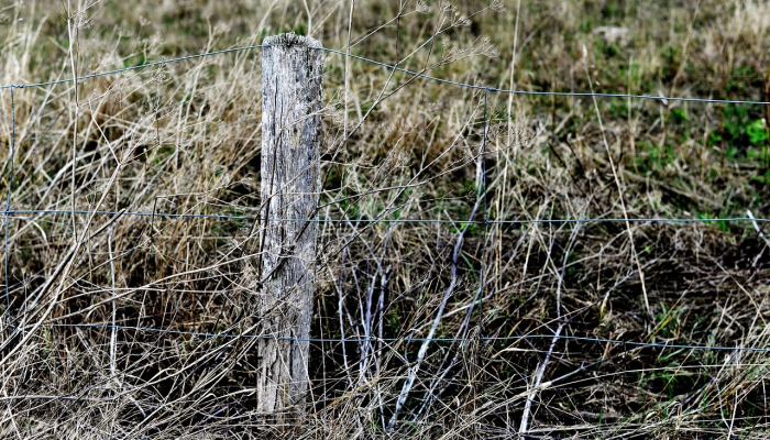 玩家必看教程“吉祥麻将填大坑开挂神器下载!分享用挂教程 玩家必看教程“吉祥麻将填大坑开挂神器下载!分享用挂教程