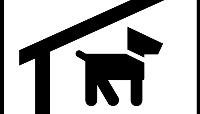 玩家辅助神器:“新超圣有透视挂吗”(曝光透视必备猫腻) 玩家辅助神器:“新超圣有透视挂吗”(曝光透视必备猫腻)