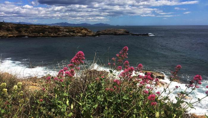 教程辅助!“微壳跑胡子可以开挂吗”其实确实有挂 教程辅助!“微壳跑胡子可以开挂吗”其实确实有挂