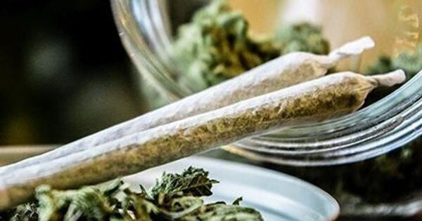 ASA：术前使用大麻与术后更高的疼痛有关