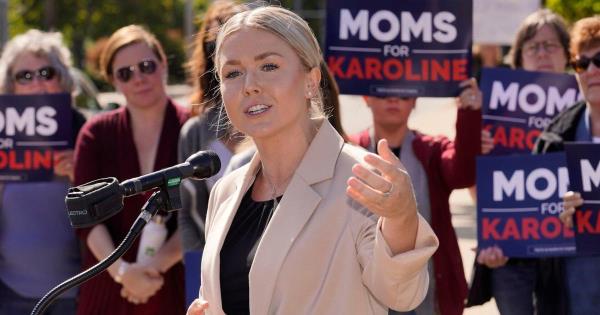 众议院共和党可能的新成员包括局外人和极端分子