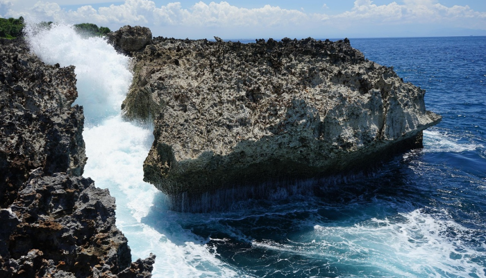 义工合力清理海滩 义工合力清理海滩