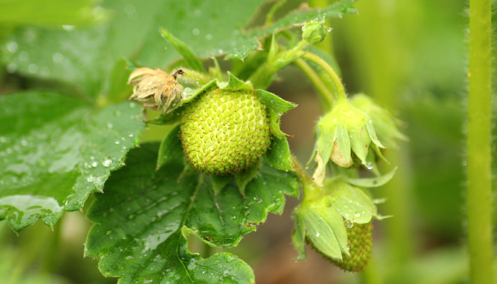 玩家必看教程“天天爱蚌埠麻将挂怎么下载”分享用挂教程 玩家必看教程“天天爱蚌埠麻将挂怎么下载”分享用挂教程