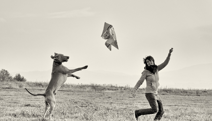 一个家庭放狗咬权力部门官员,用棍棒殴打他们,以解决悬而未决的账单 一个家庭放狗咬权力部门官员,用棍棒殴打他们,以解决悬而未决的账单