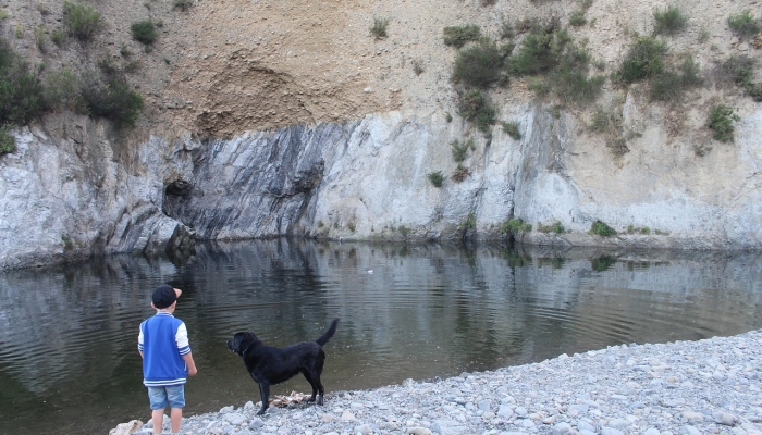 为聪明的买家提供间歇泉价格比较:从8个最佳家庭选择中选择 为聪明的买家提供间歇泉价格比较:从8个最佳家庭选择中选择