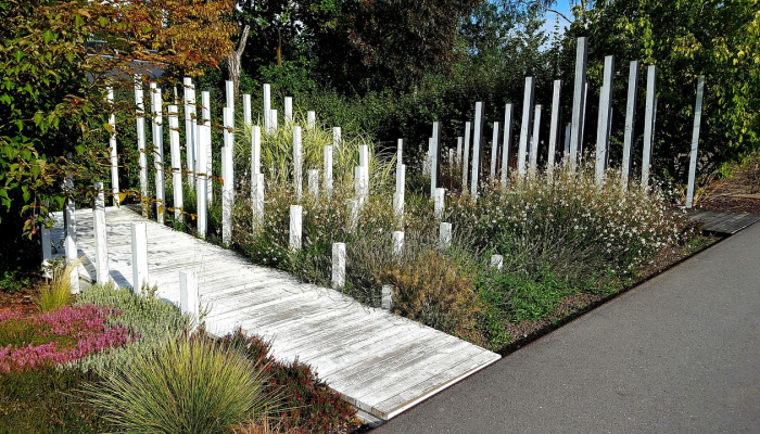 一名女子在自家花园里发现了一种被认为已经灭绝100年的小生物 一名女子在自家花园里发现了一种被认为已经灭绝100年的小生物