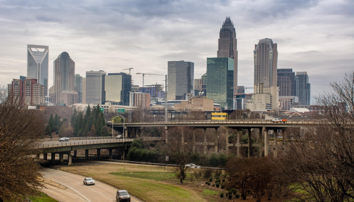 从夏洛特的地下室到北卡州议会大厦:迷幻疗法有了新的面貌 从夏洛特的地下室到北卡州议会大厦:迷幻疗法有了新的面貌