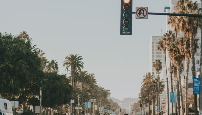 辅助神器“yy比鸡怎么赢”详细开挂玩法