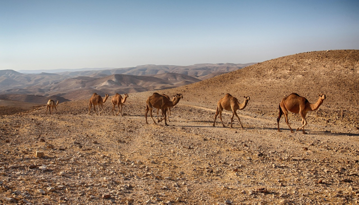 以色列袭击后加沙难民营变成废墟