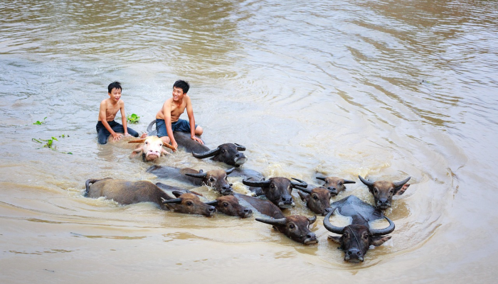 以色列表示,他们已经在加沙最大的医院展开行动 以色列表示,他们已经在加沙最大的医院展开行动