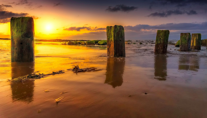 一个名为“英国马加鲁夫”的海滨小镇,到处都是讨厌的青少年和醉酒的游客 一个名为“英国马加鲁夫”的海滨小镇,到处都是讨厌的青少年和醉酒的游客