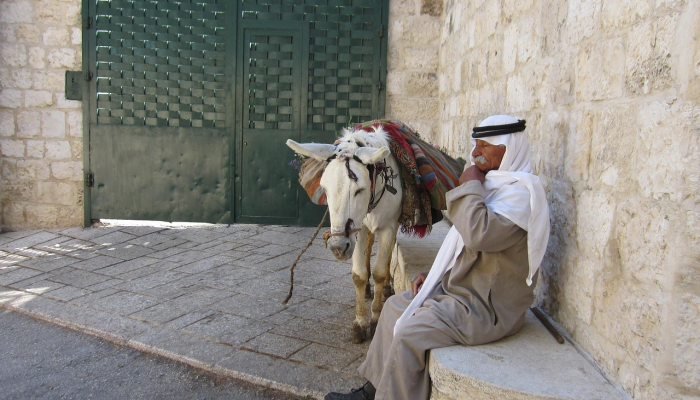 以色列释放30名巴勒斯坦囚犯,释放人数达到240人 以色列释放30名巴勒斯坦囚犯,释放人数达到240人