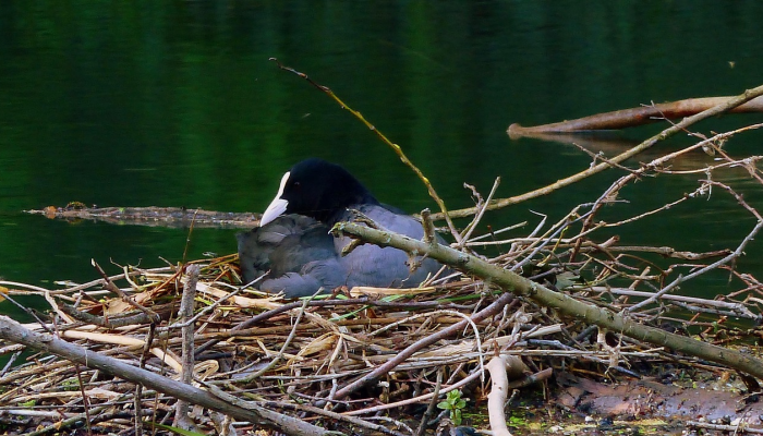 万能开挂辅助“微乐麻将怎么样才能一直赢”详细开挂玩法 万能开挂辅助“微乐麻将怎么样才能一直赢”详细开挂玩法