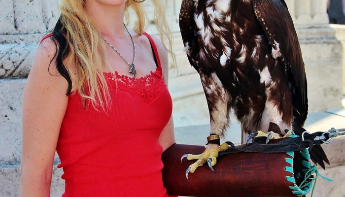 MP说,女性应该“羞辱”那些忽视女性健康问题的公司 MP说,女性应该“羞辱”那些忽视女性健康问题的公司