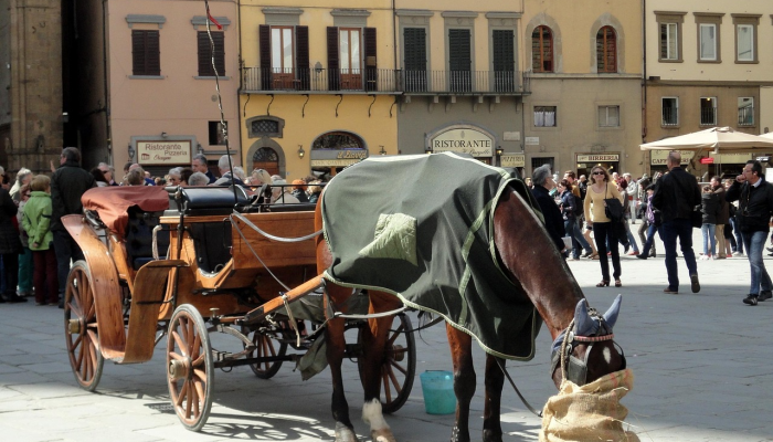 教程辅助!“衢州都莱有挂吗”(原来确实是有挂)