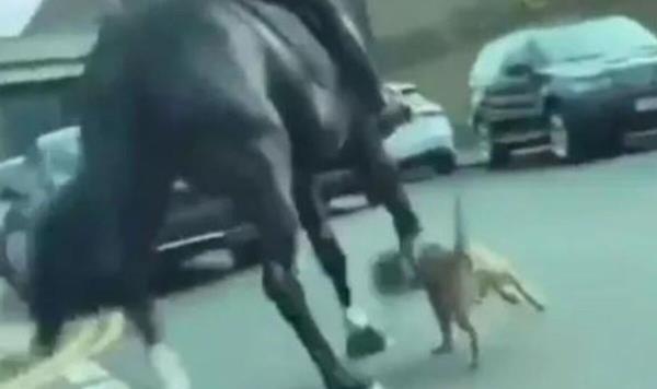 玩家必看教程“嘉乐互娱怎么开挂”(曝光透视必备猫腻) 玩家必看教程“嘉乐互娱怎么开挂”(曝光透视必备猫腻)