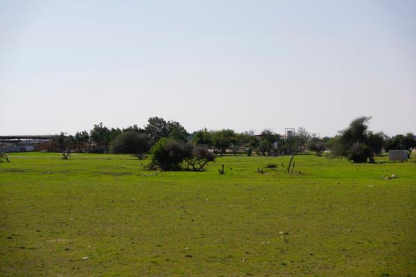 辅助神器“新棋联盟有挂吗”详细开挂玩法