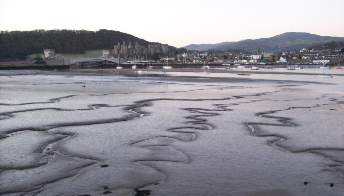 示威者冲进墨西哥总统府 示威者冲进墨西哥总统府