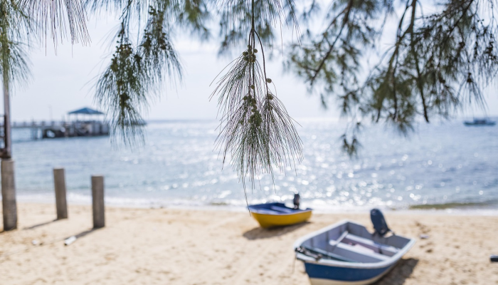 59岁的忍者战士妈妈,准备进行125英里的巴拿马丛林徒步旅行,揭示了保持健康的“秘密” 59岁的忍者战士妈妈,准备进行125英里的巴拿马丛林徒步旅行,揭示了保持健康的“秘密”