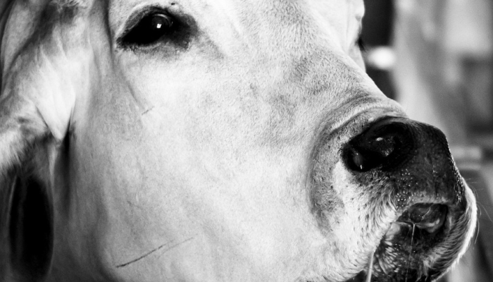 开挂辅助工具“wepokerplus透视脚本免费”(原来确实是有挂) 开挂辅助工具“wepokerplus透视脚本免费”(原来确实是有挂)