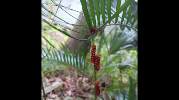 万能开挂辅助“丽水跑得快麻将软件如何开挂!详细分享装挂步骤 万能开挂辅助“丽水跑得快麻将软件如何开挂!详细分享装挂步骤