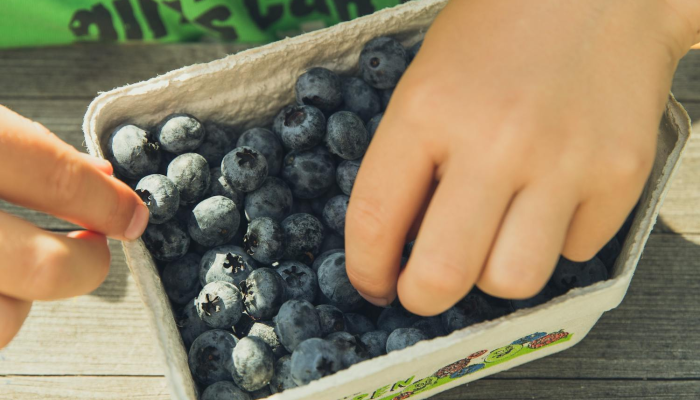 骨干细胞的发现:早期颅骨融合的隐藏原因 骨干细胞的发现:早期颅骨融合的隐藏原因