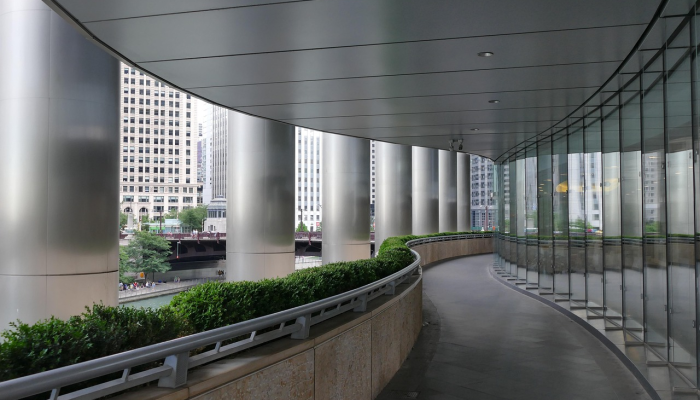 绿梅:春之韵的使者,风雪中的坚强战士 绿梅:春之韵的使者,风雪中的坚强战士