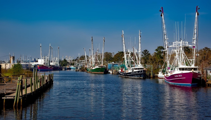 警方：北卡罗莱纳州的一名少年枪杀了他的哥哥