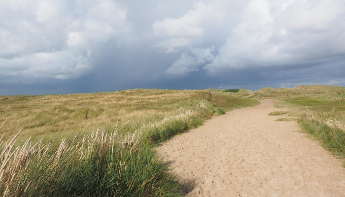 最新教你“多乐跑得快开挂方法”开挂(透视)辅助教程
