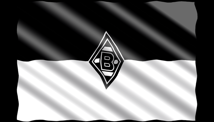 足球：德甲最佳射手