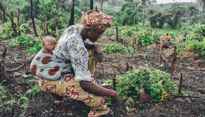 辅助神器“微乐湖南麻将怎么开免费的挂”其实确实有挂