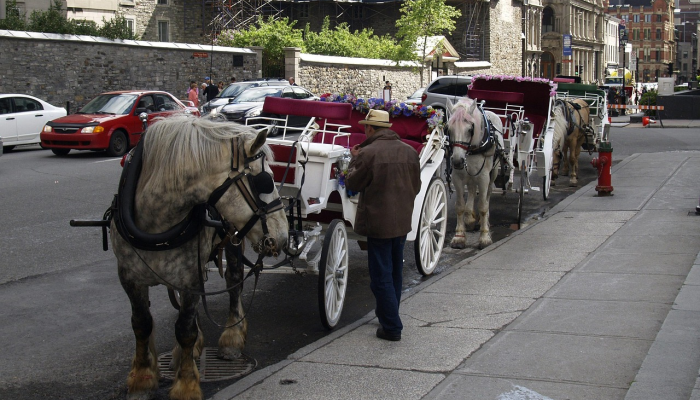警方:佩塔卢马酒后驾车导致逮捕 警方:佩塔卢马酒后驾车导致逮捕