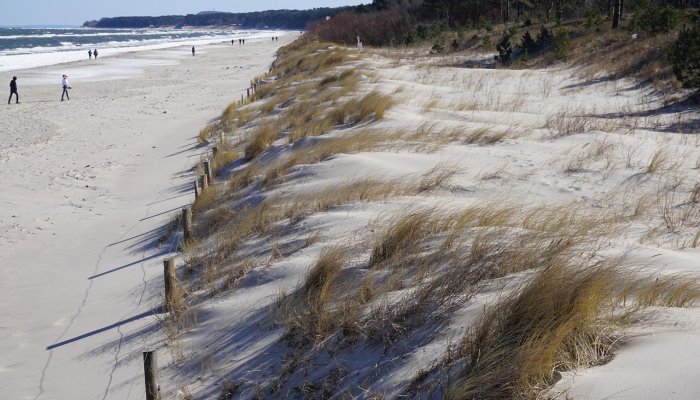 泽连斯基在波罗的海盟友之旅中登陆立陶宛 泽连斯基在波罗的海盟友之旅中登陆立陶宛