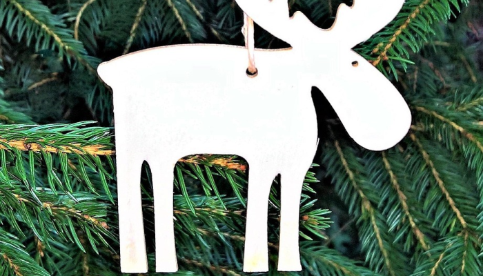 足球——主帅维格曼说,在布赖特缺席的情况下,厄普斯将成为英格兰队长 足球——主帅维格曼说,在布赖特缺席的情况下,厄普斯将成为英格兰队长