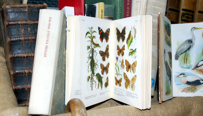 最新教你“云扑克怎么开挂视频教程”详细开挂玩法