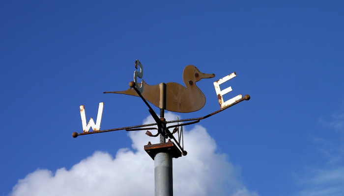 随着气温上升，学校加大了应对气候变化的努力