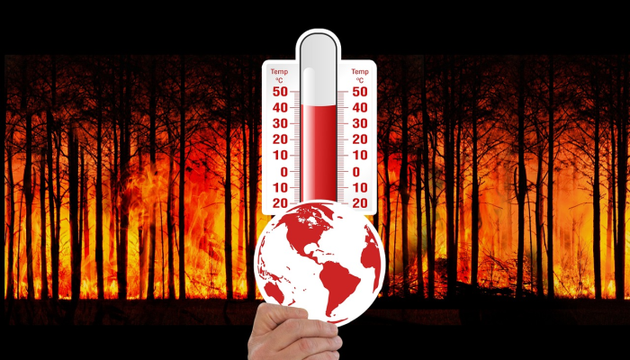 第28届联合国气候变化大会案文草案建议阿塞拜疆成为下一届首脑会议的东道国 第28届联合国气候变化大会案文草案建议阿塞拜疆成为下一届首脑会议的东道国