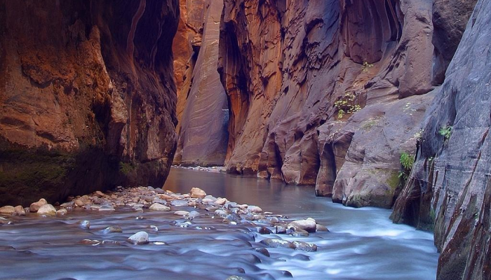 玩家辅助神器:“佛手在线有没有挂”开挂(透视)辅助教程 玩家辅助神器:“佛手在线有没有挂”开挂(透视)辅助教程