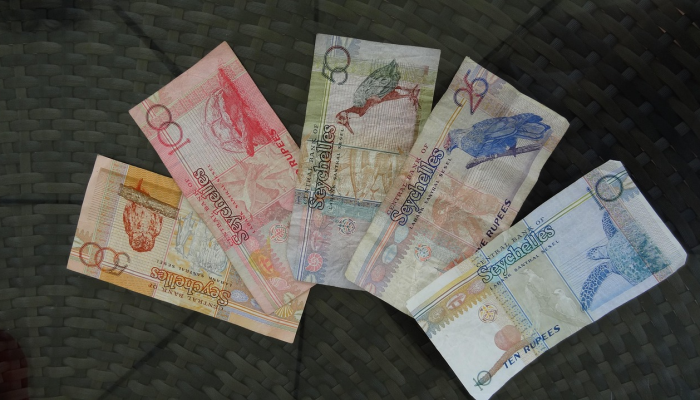 电力金融公司将通过公开发行非传染性债券筹集至多500亿卢比 电力金融公司将通过公开发行非传染性债券筹集至多500亿卢比