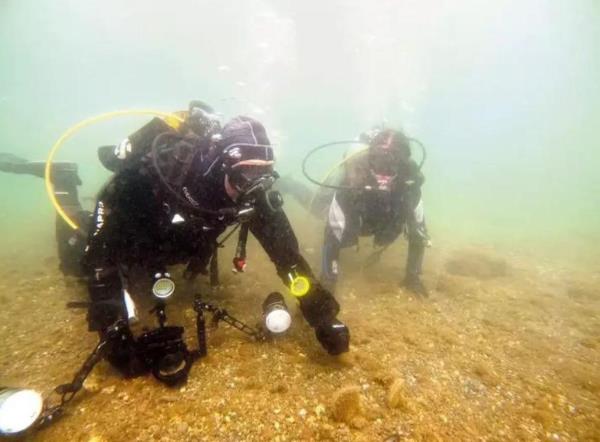 马尔马拉的皮纳斯为粘液恢复带来了希望