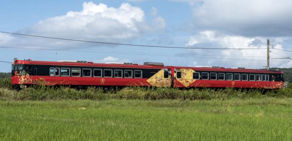 三选区补选开始投票
