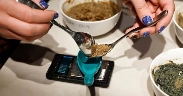 科罗拉多州就“神奇蘑菇”合法化进行投票