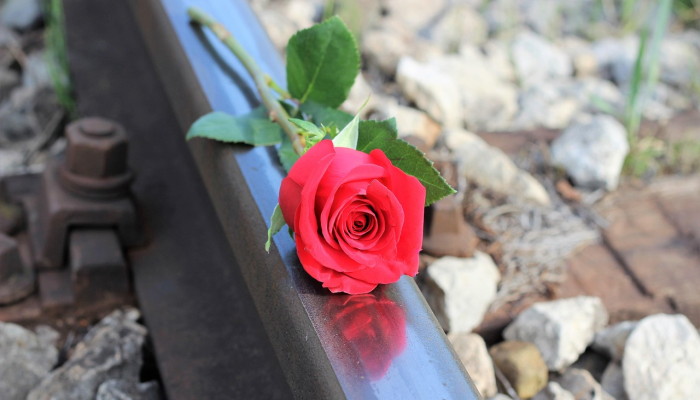 圣诞前的欢声,牛肉支撑的需求 圣诞前的欢声,牛肉支撑的需求