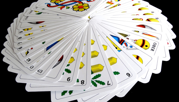 玩家必看教程“鸿运斗地主里的跑得快有挂吗”详细开挂玩法