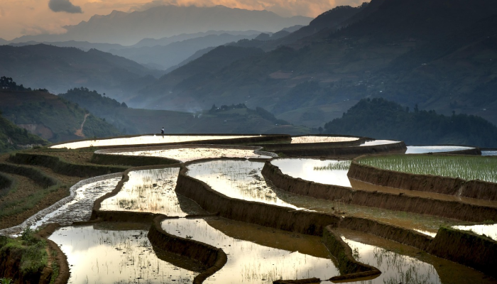 贸易部长会见加拿大商务代表团 贸易部长会见加拿大商务代表团