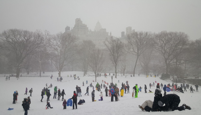 教程辅助!“九酷大厅开挂”(原来确实是有挂) 教程辅助!“九酷大厅开挂”(原来确实是有挂)