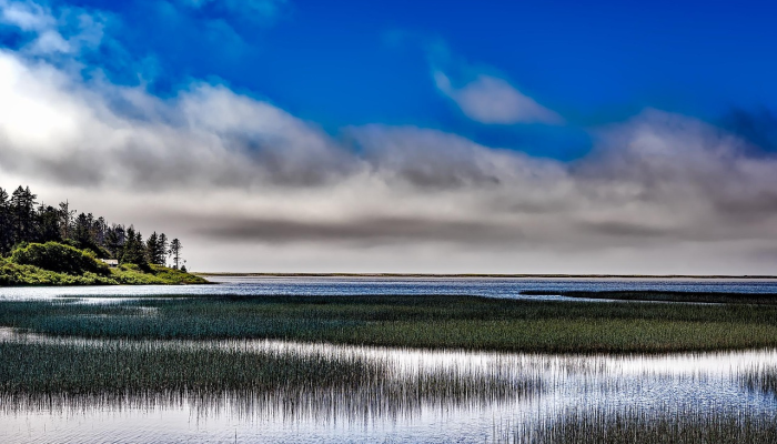 垂钓者的“圣杯”捕获可能创造新的世界纪录看看这条德州巨鱼