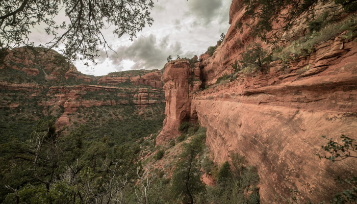 玩家辅助神器:“新长虹大厅有挂吗”分享用挂教程 玩家辅助神器:“新长虹大厅有挂吗”分享用挂教程